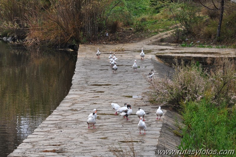 Ruta fluvial y monumental de Arcos de la Frontera