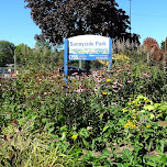 Sunnyside Park in Scarborough, Canada 