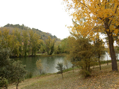 Los colores del otoño por tierras del Duero: Soria y alrededores con niños - Blogs de España - Soria y Calatañazor (9)