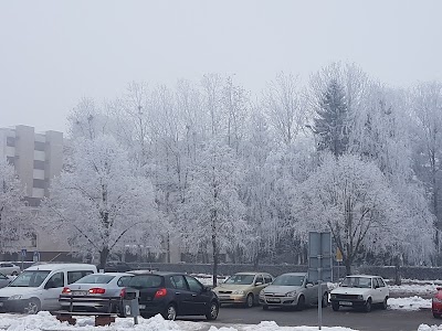 Photos of Cinober