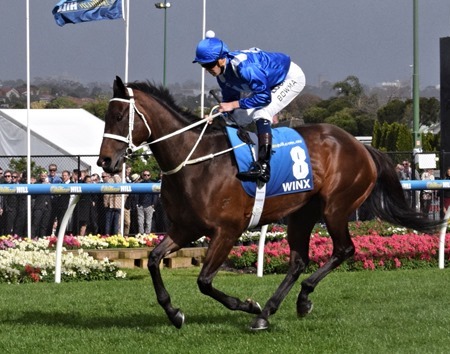 cox plate_winx 2