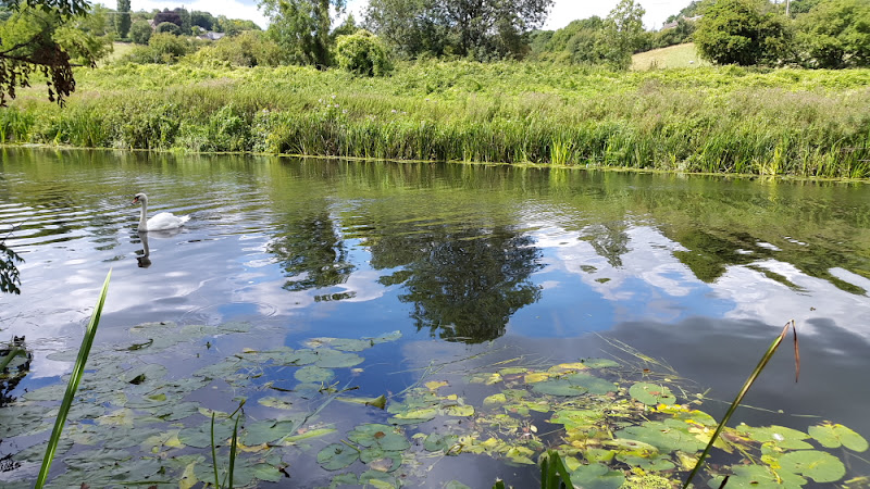 ESCAPADAS POR EL REINO UNIDO - Blogs de Reino Unido - BRADFORD ON AVON. Una joya por descubrir (11)