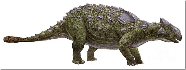 ankylosaurus-magniventris-sergey-krasovskiy