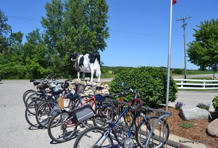 Quite a few bikers at the Dairy today