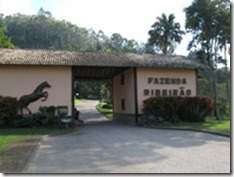 fazenda-ribeirao-1