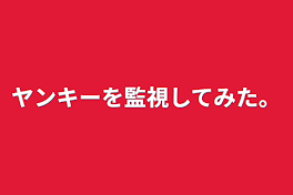 ヤンキーを監視してみた。