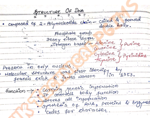 UNIT 4  Structure of DNA, Genetic Code 2nd Semester B.Pharmacy ,BP201T Human Anatomy and Physiology II,BPharmacy,Handwritten Notes,Important Exam Notes,BPharm 2nd Semester,