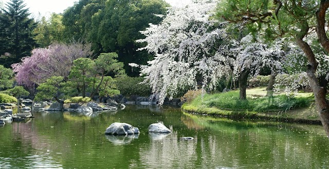 白鳥庭園