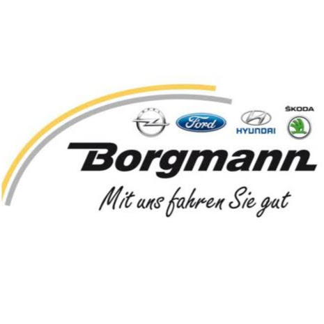 Autohaus Borgmann Skoda logo