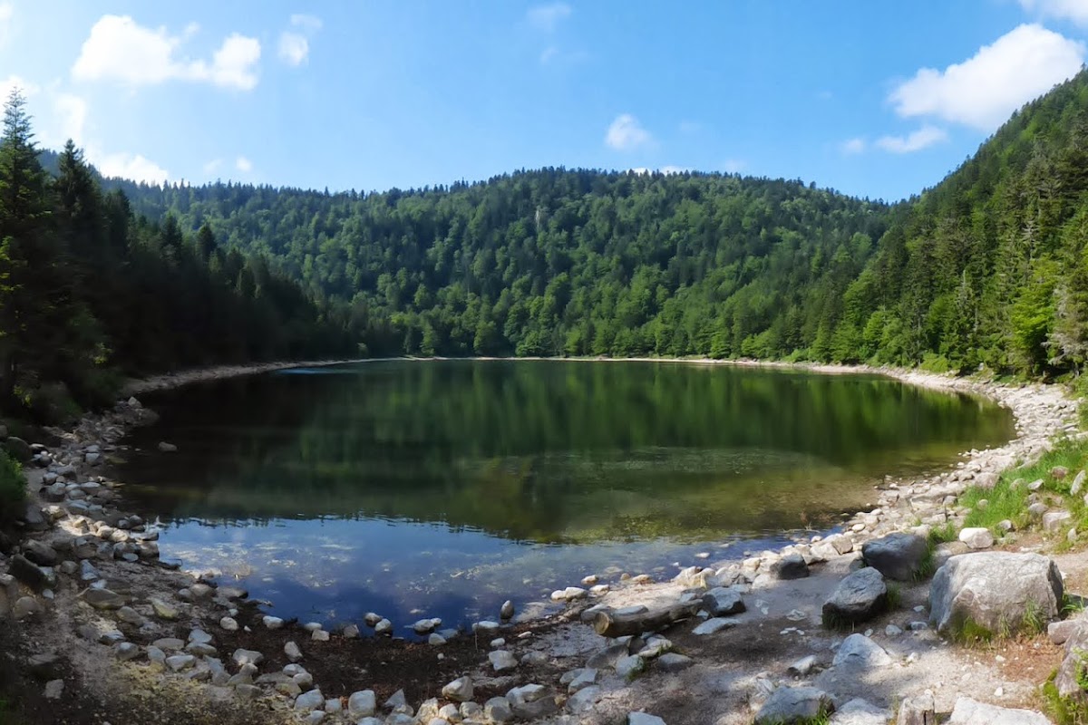P1020982.JPG
