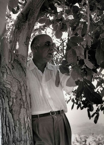 Ghiorgos Seferis