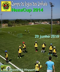 FCO - HexaCup 2014