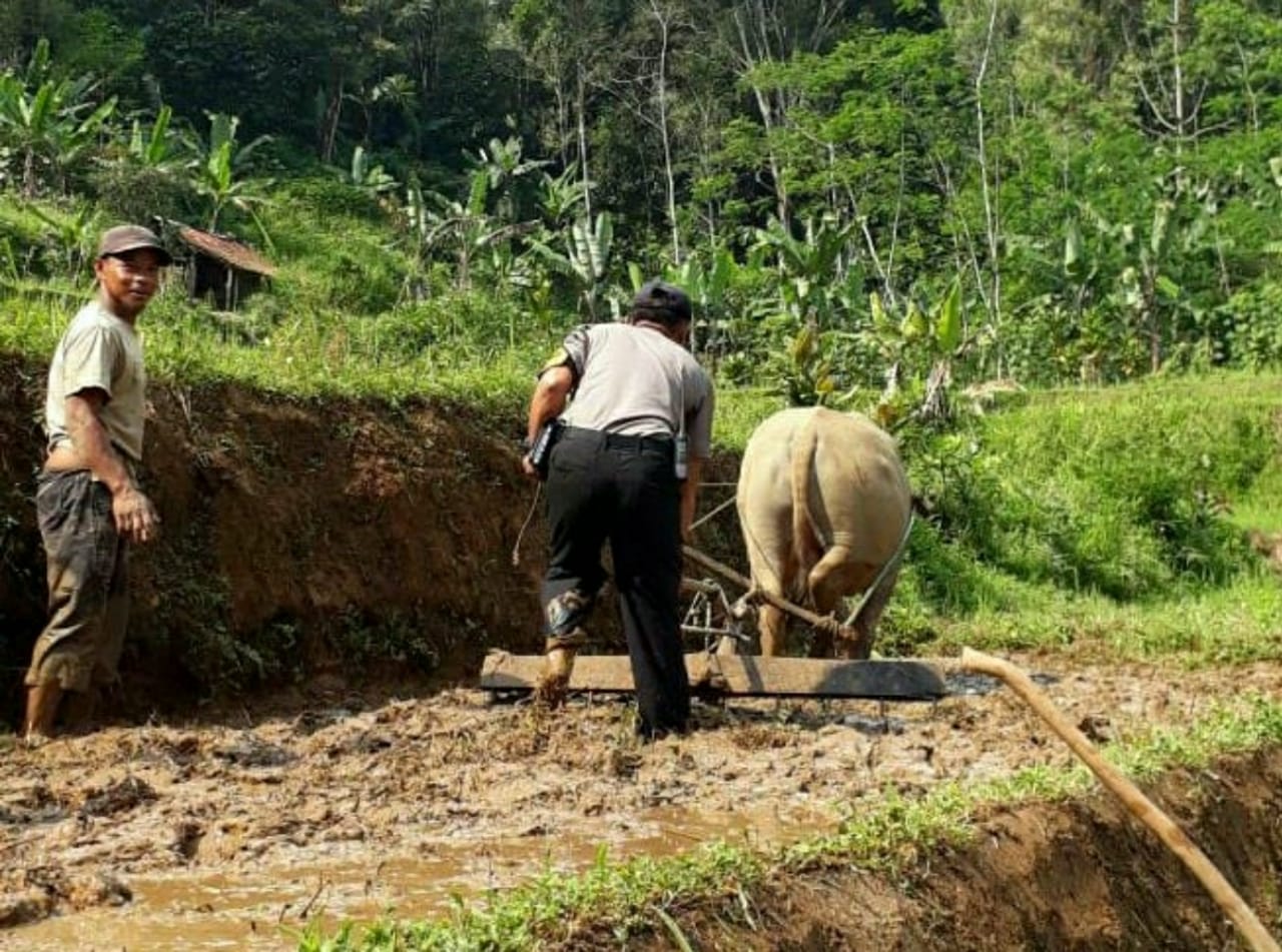 Sambang Warga Anggota Polsek Wanayasa Bantu Petani  Yang 