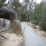 Track south of Int of Bullocks Walking and car park tracks (296876)