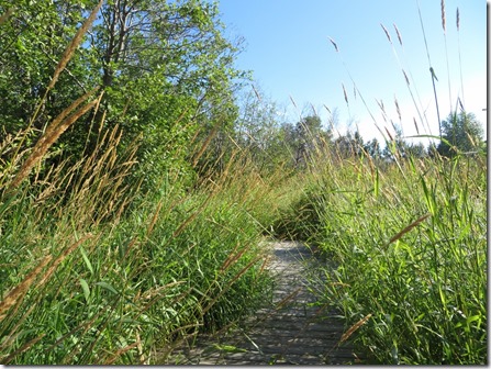 houghton_nara_boardwalk