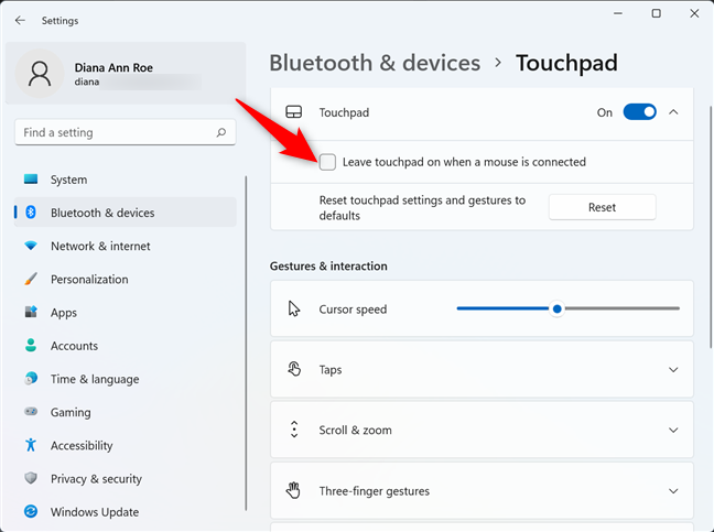 Schakel het selectievakje uit om touchpad uit te schakelen wanneer een muis is aangesloten op Windows 11