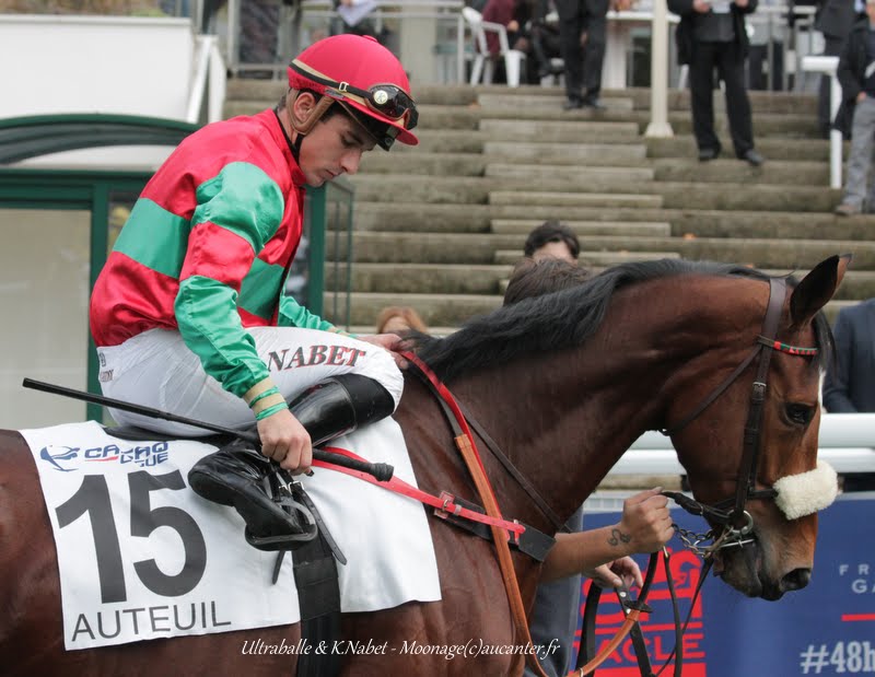 Photos Auteuil 7-11-2015 (48h de l'obstacle) IMG_6410