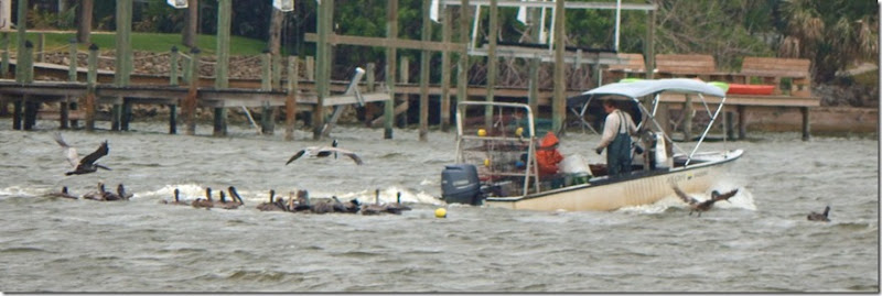 crab boat