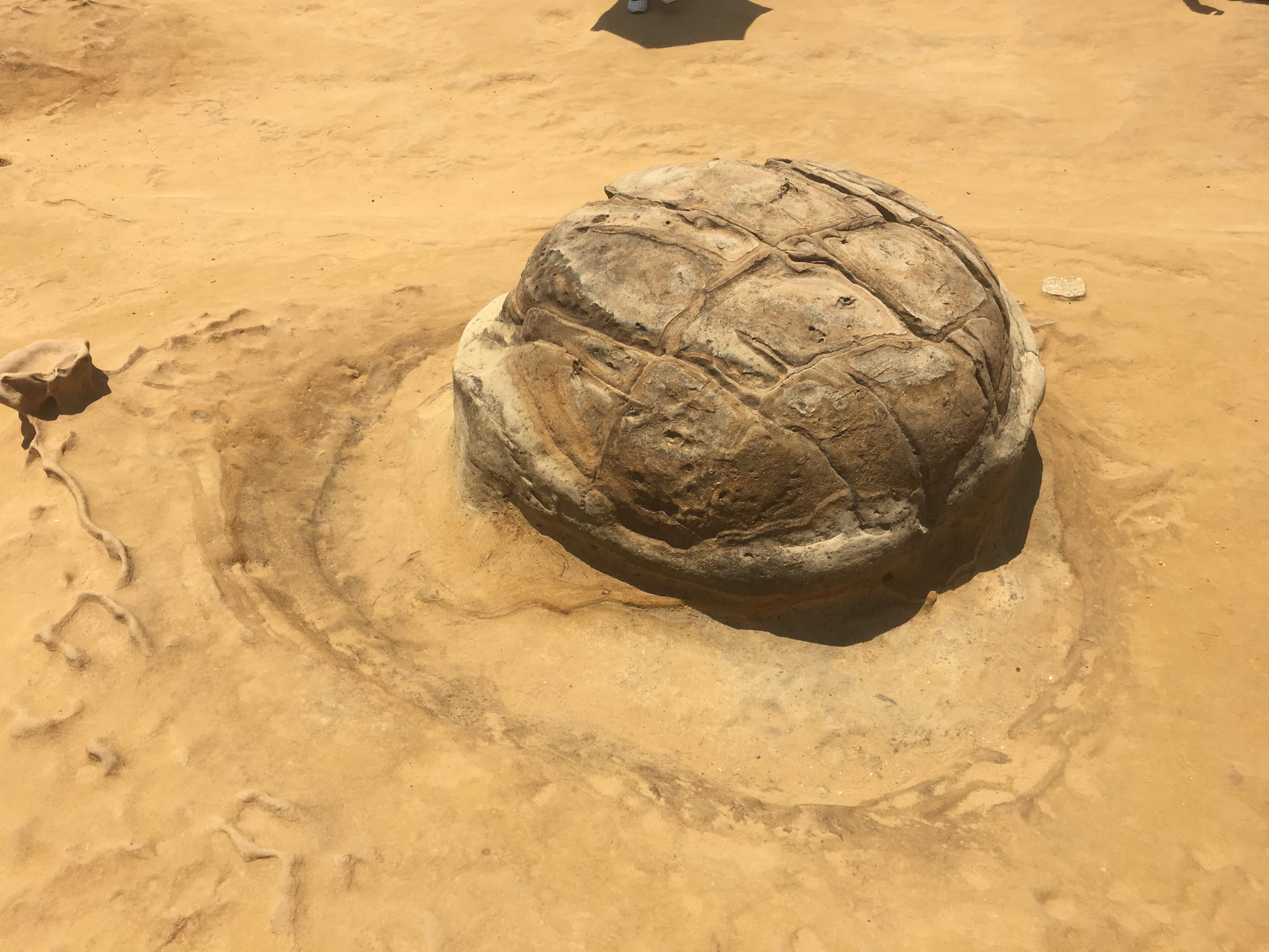 yehliu geopark, new taipei,  taiwan