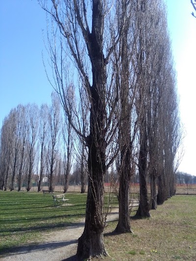 Photos of Zona Sportiva