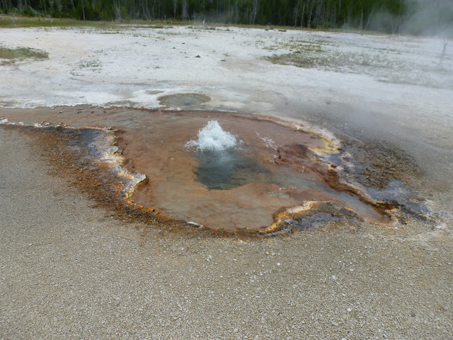 Valle Hayden. Mud Vulcano y Sulphur Caldron. Black Sand Basin.  13 de Julio. - LAS ROCOSAS DE CANADA. YELLOWSTONE Y GRAND TETON. (41)