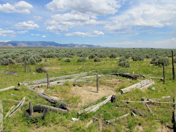 Possibly the remains of a cabin in Clark Valley