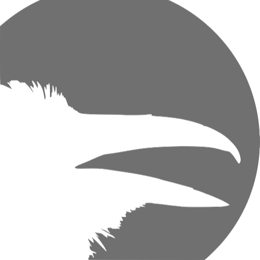 Raven's Eye logo