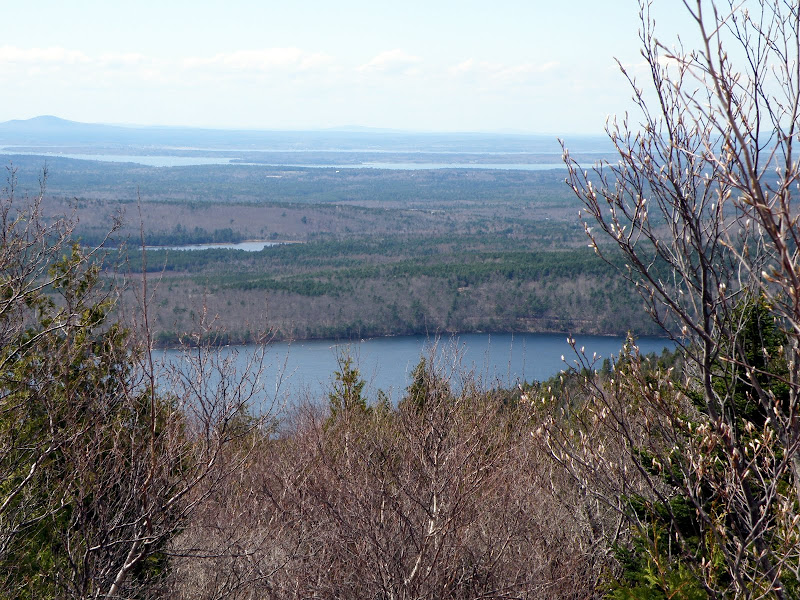 P4296142.JPG