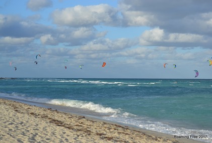 Colorful kites