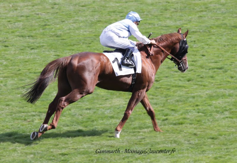 Photos Maisons-Laffitte 5-07-2015 IMG_2501