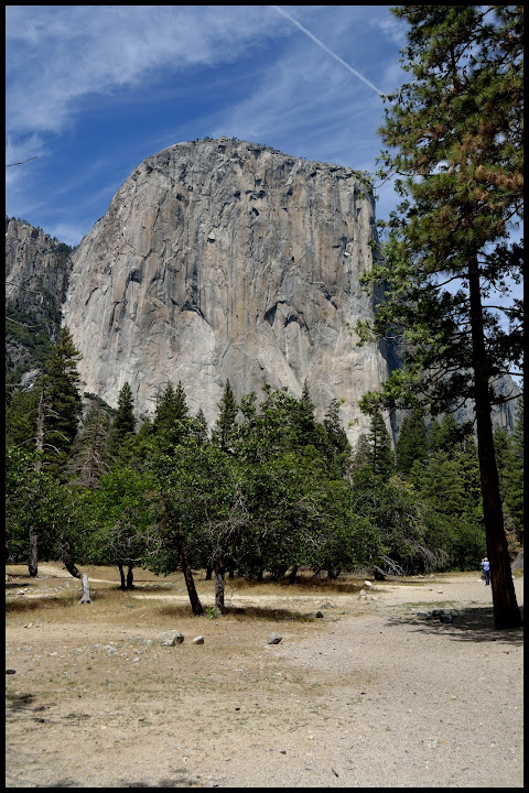 MAMMOTH LAKES-TIOGA ROAD-YOSEMITE - INTENSA RUTA POR LA COSTA OESTE USA 2015 (18)