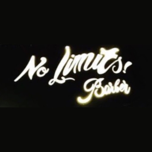 DZ NO LIMITS BARBER di Dario Zito logo