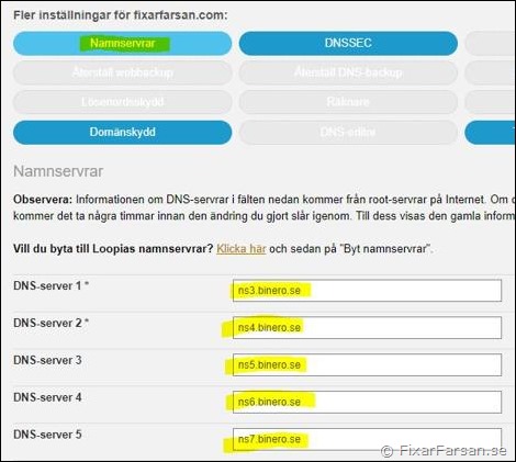 Peka-Loopia-Domän-Till-Binor-namnservrar