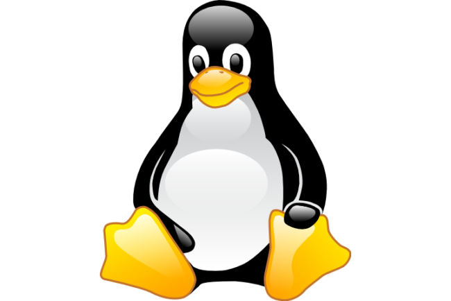 Linux-cumple-24-anos.jpg