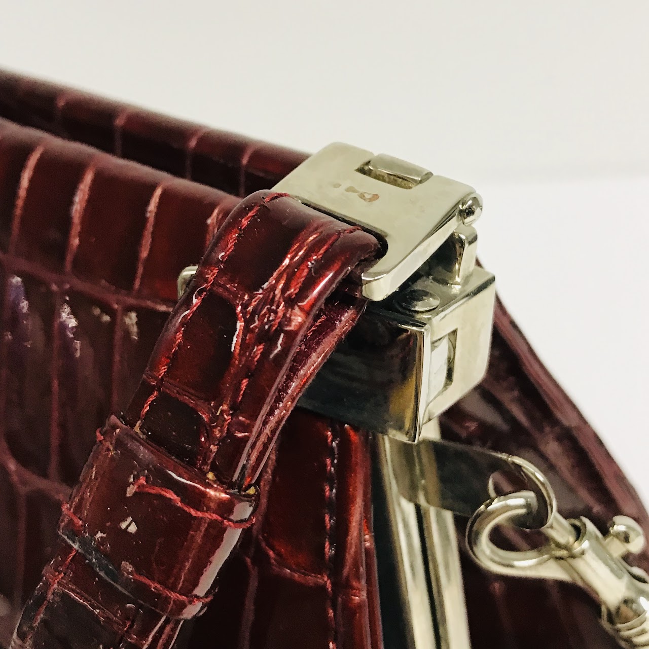 Stuart Weitzman Embossed Patent Leather Bag