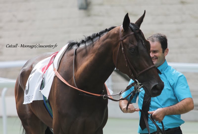 Photos Maisons-Laffitte 5-07-2015 IMG_2432