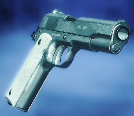 파일:M1911 네임드.png