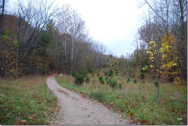 10-31-15 Cumberland Gap Saddle Hike (28)