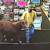 This Is the One About a Pony that Walked into a Liquor Store