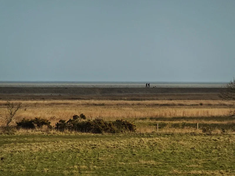 Dingle marshes
