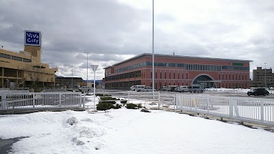 Photos of Viva City