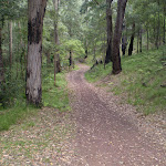 The servicetrail at Int of Hacking River and Burgh Tracks (33557)