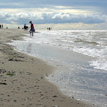 northern beach of Texel in Texel, Netherlands 