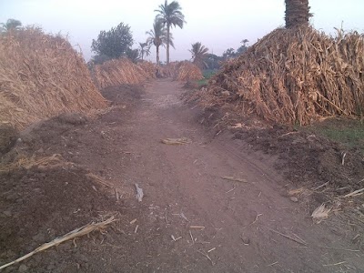 Photos of Mosque forty Alillaanh