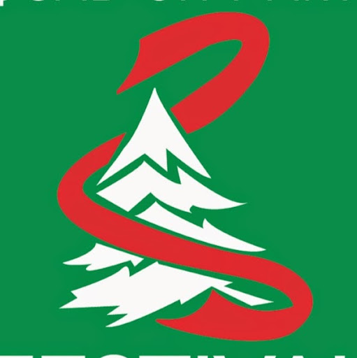 Festival of Trees logo