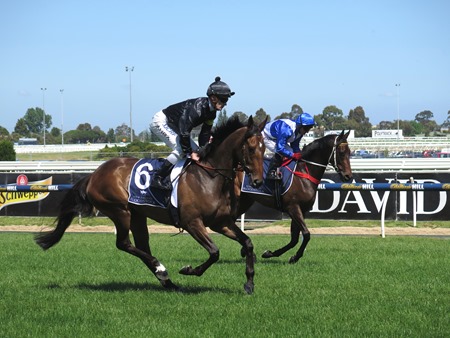 race 4_a little loose_dawnie perfect 1