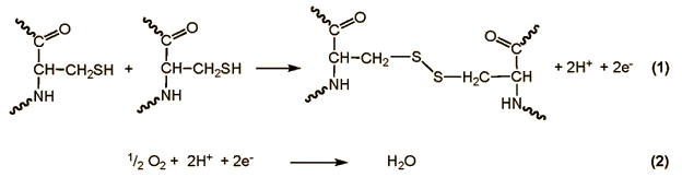 파일:external/www.chemistryviews.org/Scheme_1.gif