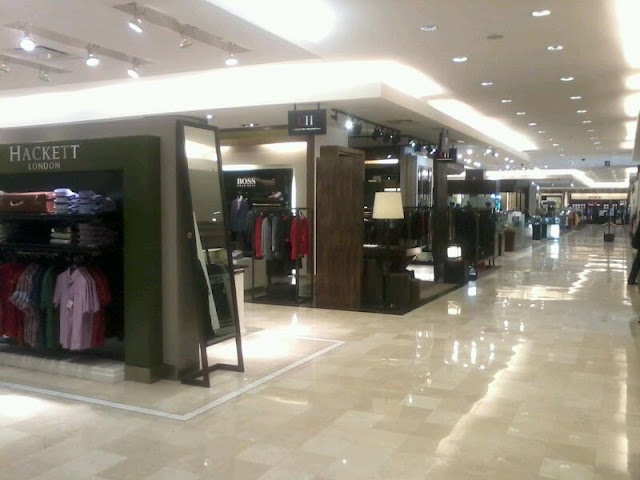 El Palacio de Hierro