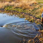 20140404_Fishing_Prylbychi_040.jpg