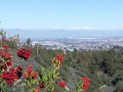 Learning Center «George F Canyon Preserve and Nature Center», reviews and photos, 27305 Palos Verdes Dr E, Rolling Hills Estates, CA 90274, USA